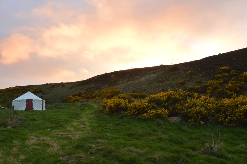 crocullia yurt