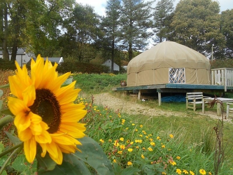 Mulroy yurt surrounded by cheery flowers 