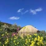 Knockalla yurt nestled in nature
