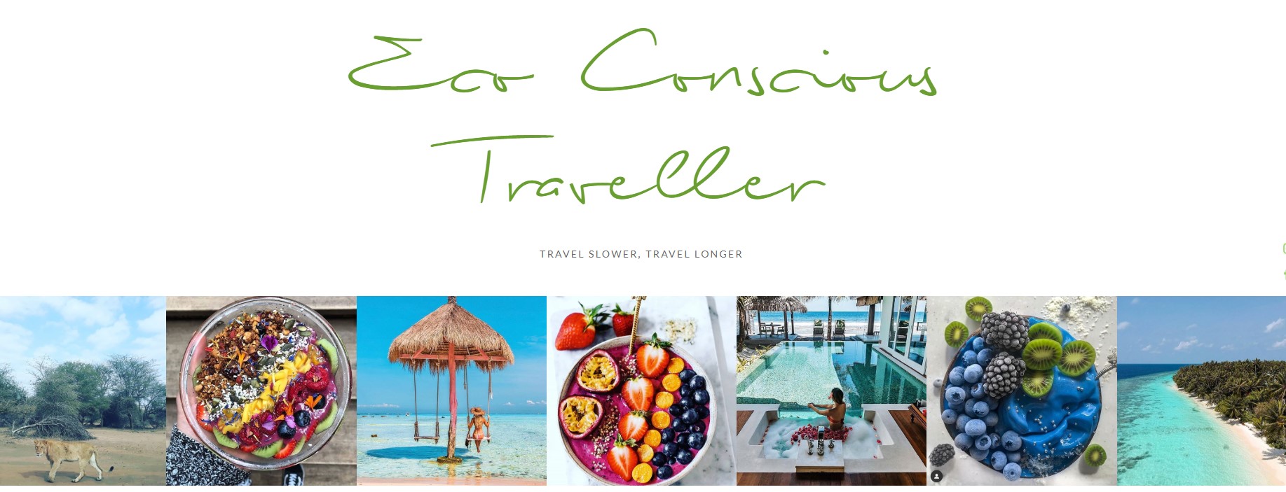 Website homepage image of Eco Conscious Traveller