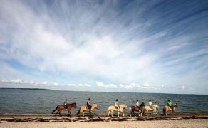 Horseriding Donegal